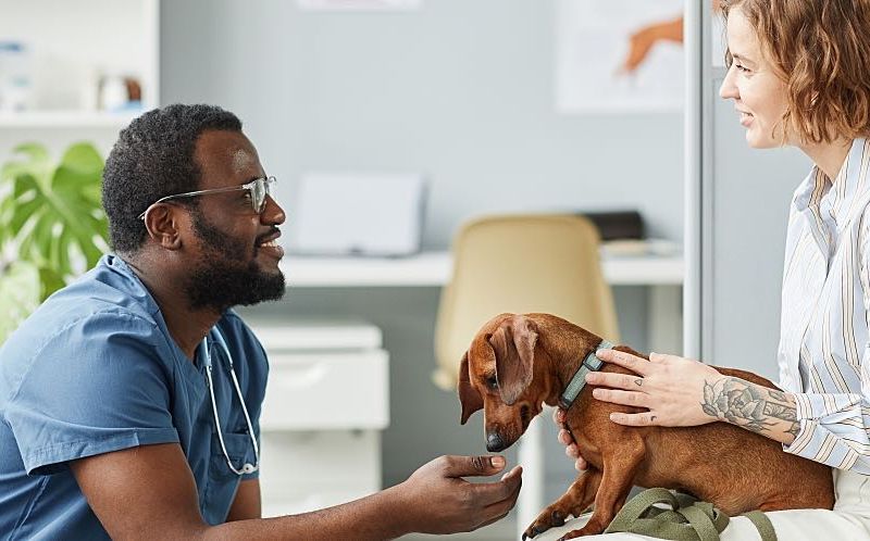 A vet kneeling in front of client with dog patient in lap.