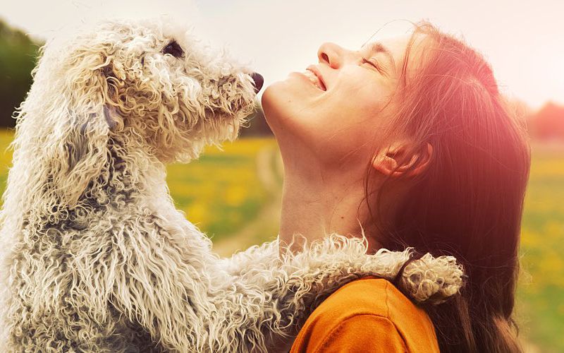 A woman and her pet dog embrace in a green field