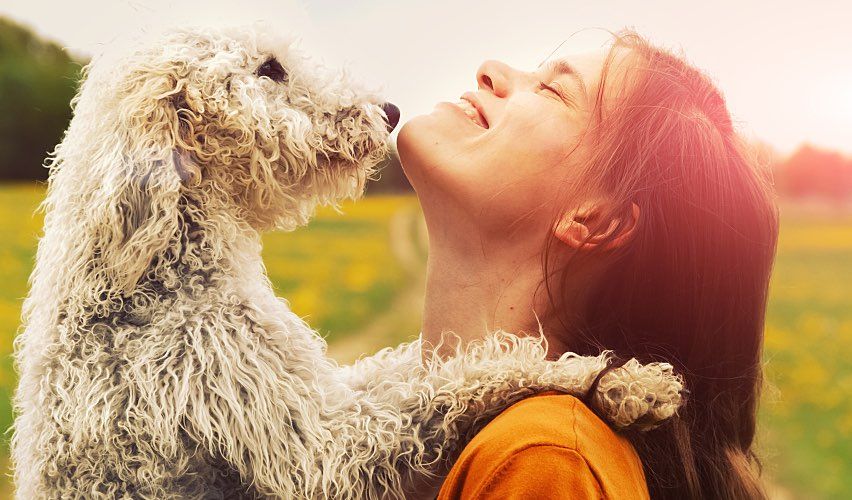 A woman and her pet dog embrace in a green field