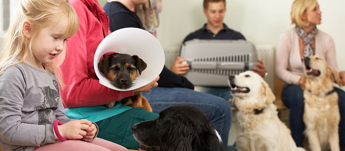 Crowded veterinary practice reception room.