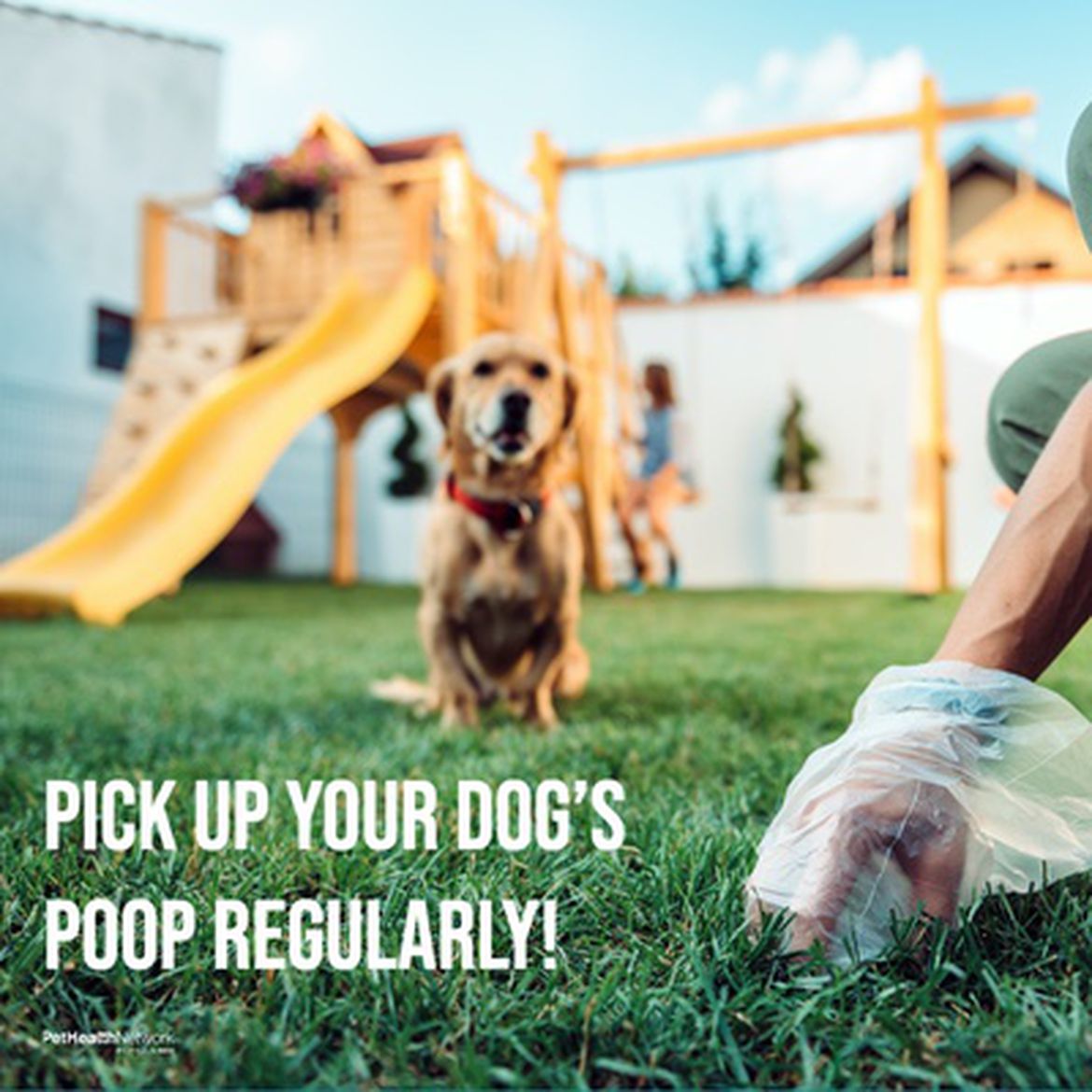 Social media post with a reminder on the importance of picking up your dog's poop regularly.