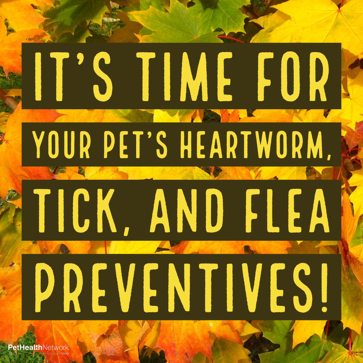 Social media for flea and tick monthly reminders.