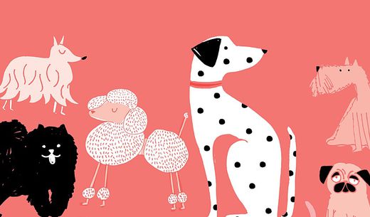 Illustration of dogs looking in different directions.