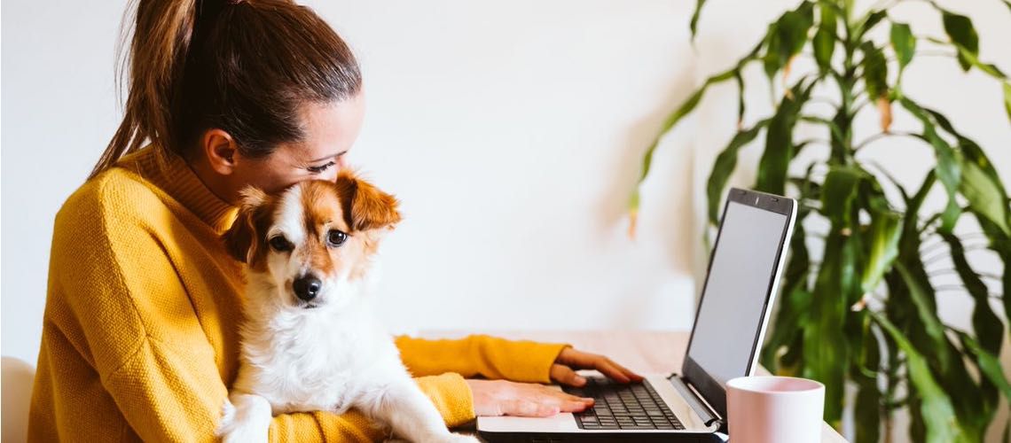 Woman sitting at a laptop holding a dog.