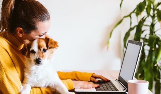 Woman sitting at a laptop holding a dog.