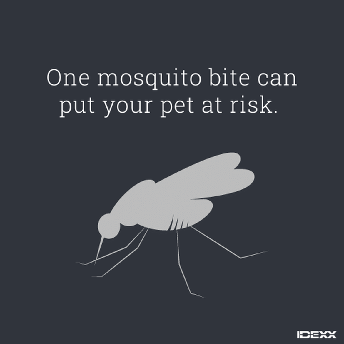 Graphic illustration of a mosquito.