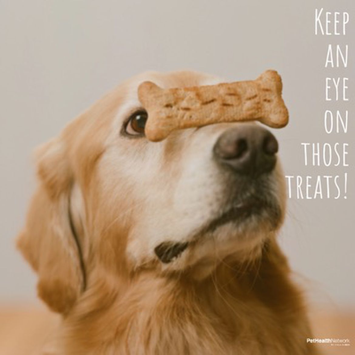 Social media post for veterinary practices to share during COVID-19 about watching how many treats their dogs eat.