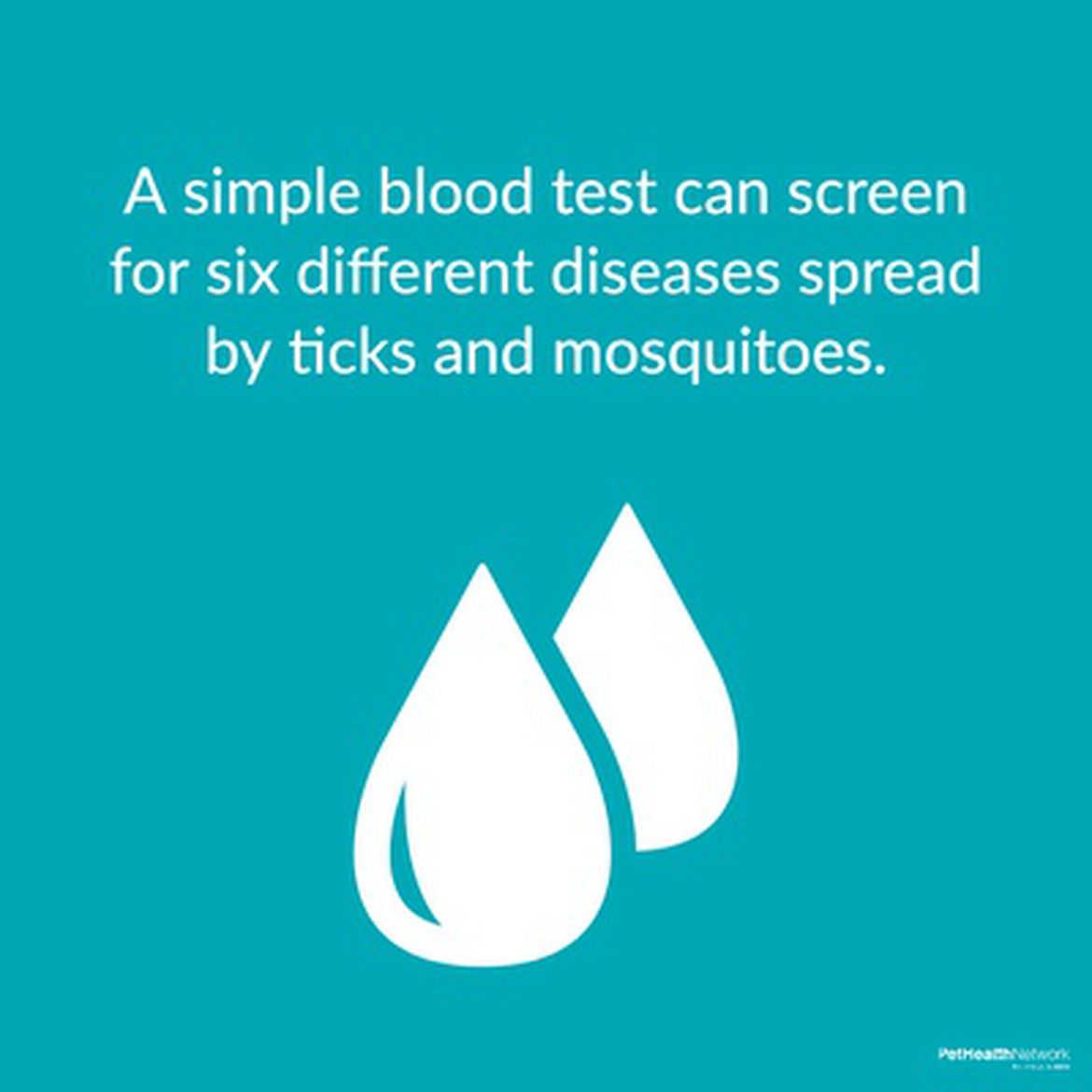 Social media post about how how a test can screen for diseases spread by mosquitoes and ticks.