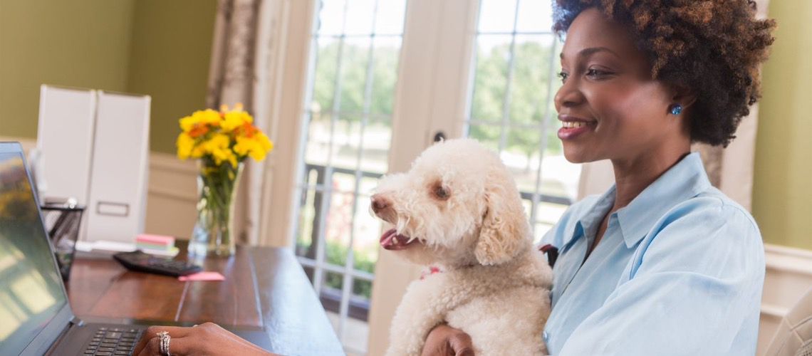 African American woman working on her laptop with a dog on her lap.