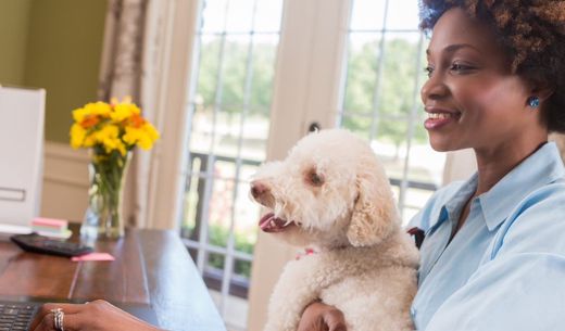 African American woman working on her laptop with a dog on her lap.