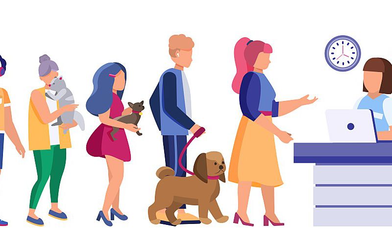 Illustration of a line of customers at a veterinary clinic.