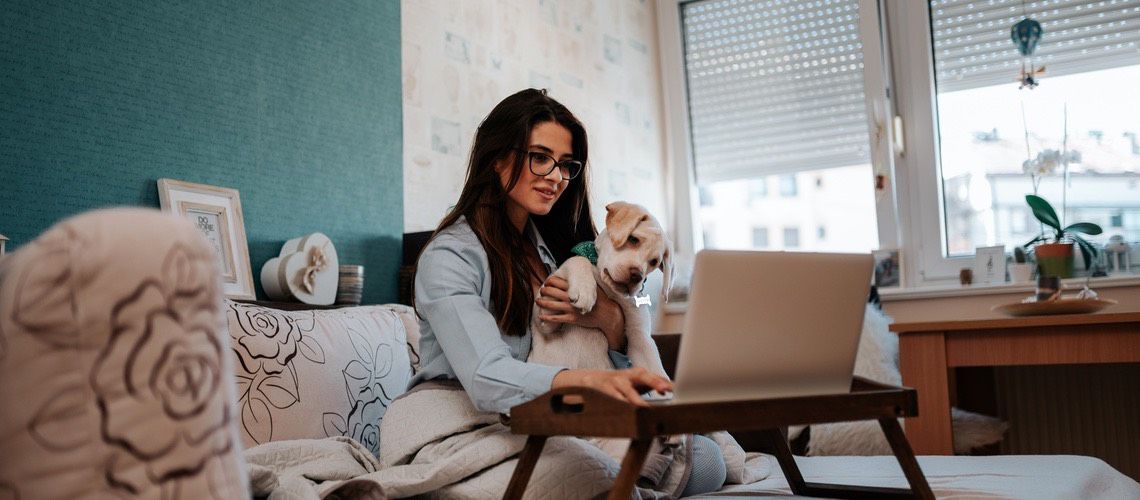 Woman sitting at computer holding dog.