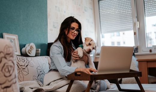 Woman sitting at computer holding dog.