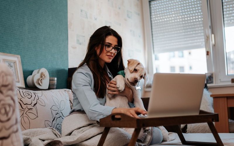 Woman sitting at computer holding dog.