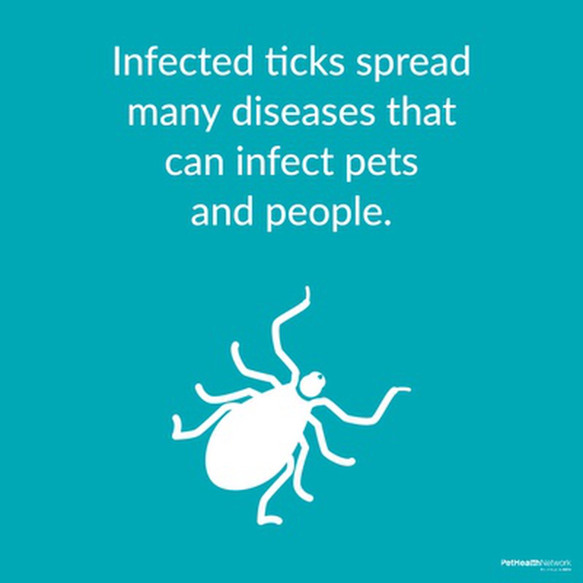 Social media post on how infected ticks spread diseases that humans can get.