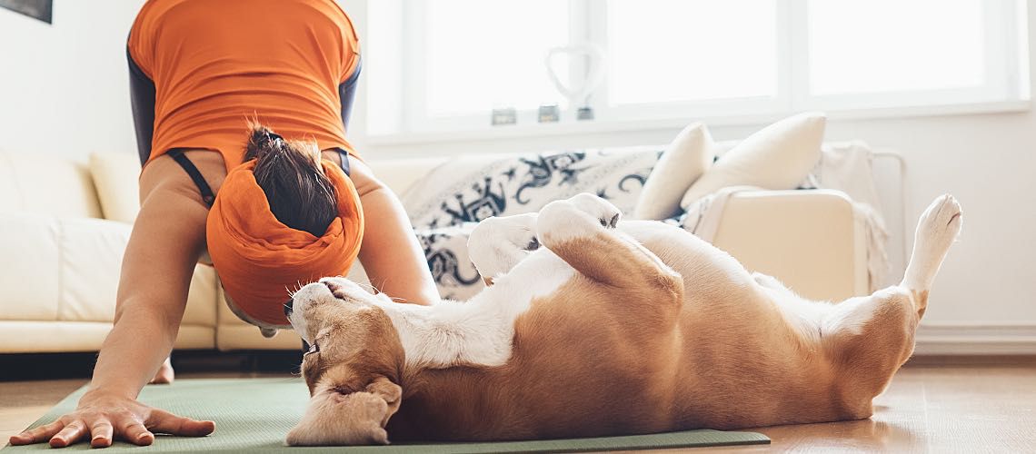 Woman doing yoga with dog laying next to her.