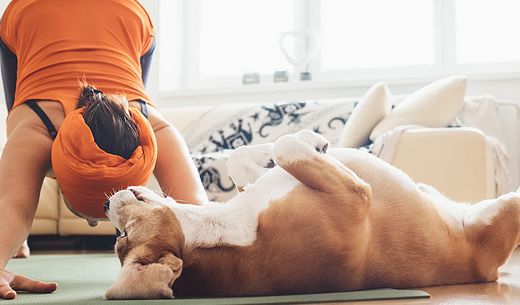 Woman doing yoga with dog laying next to her.