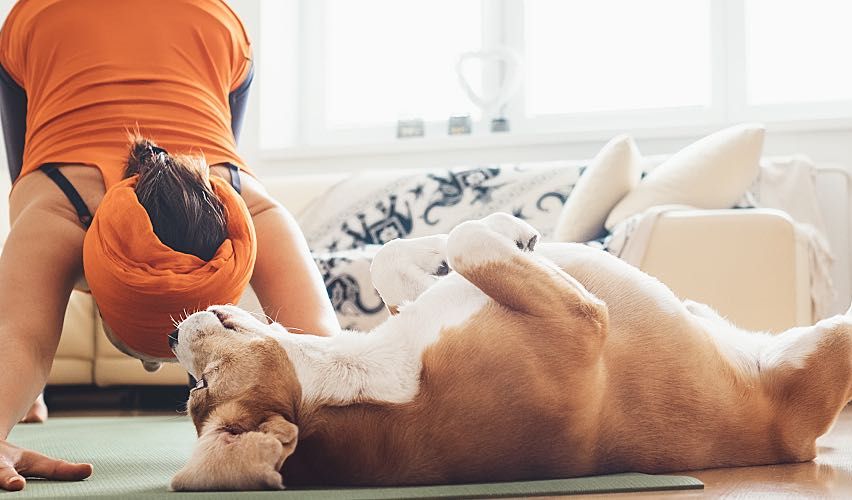 Woman doing yoga with dog laying next to her.
