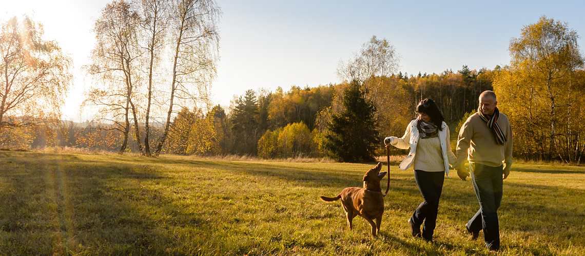 Couple walking their dog in an open field.