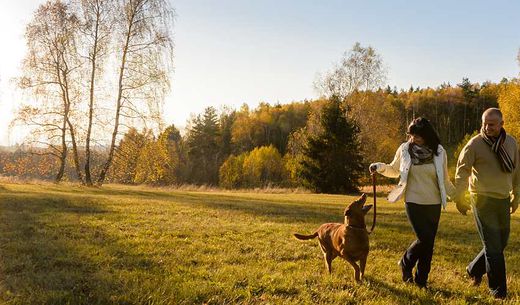 Couple walking their dog in an open field.