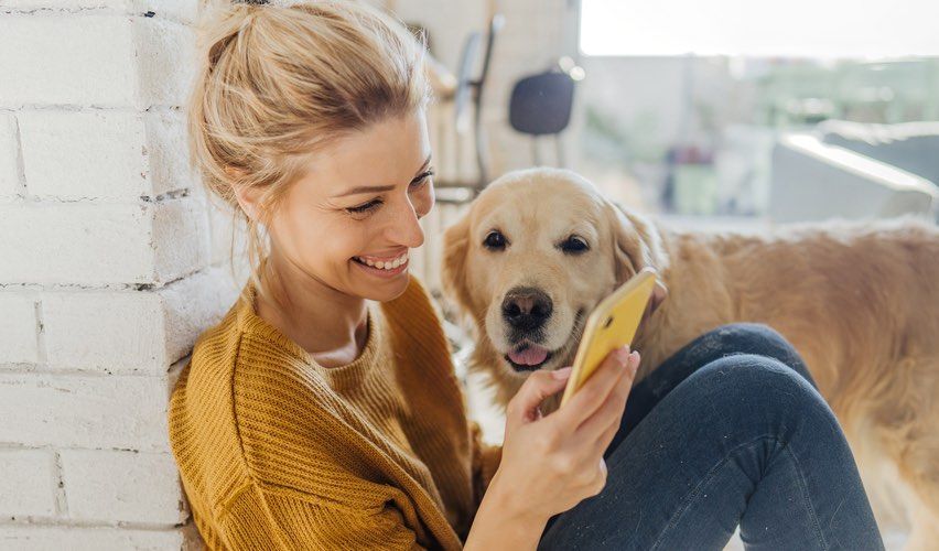 Millennial woman checking her phone with her dog next to her.