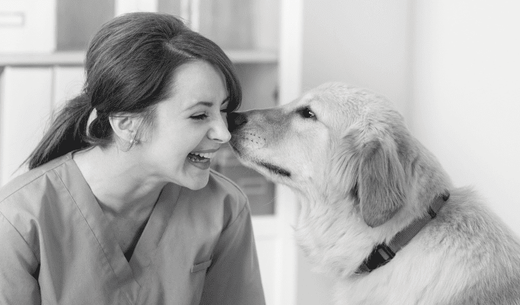 Veterinary technician with dog