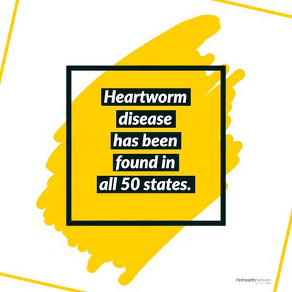Social media post about how heartworm disease has been found in all 50 states.