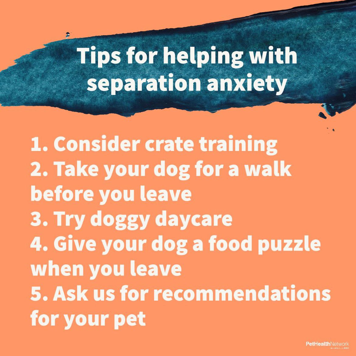 Social media post helping clients with pets with separation anxiety.