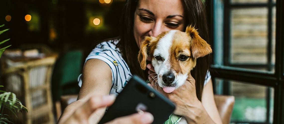 Millennial woman looking at iPhone with dog sitting on her lap.