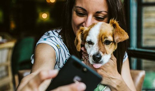 Millennial woman looking at iPhone with dog sitting on her lap.