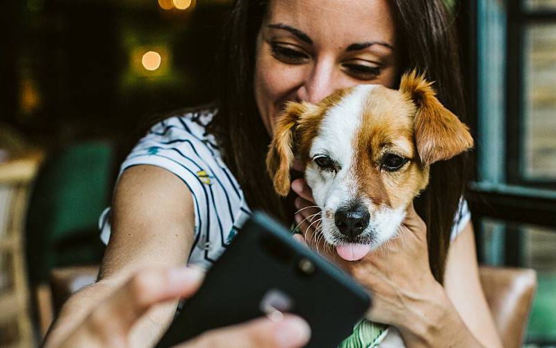 Millennial woman looking at iPhone with dog sitting on her lap.