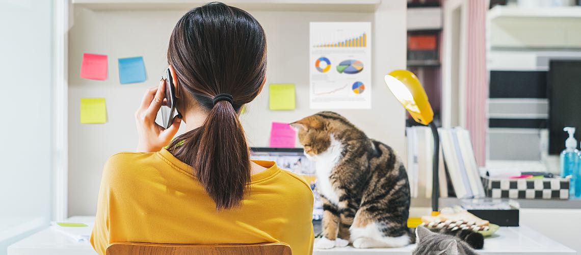 Woman working from home with two cats.