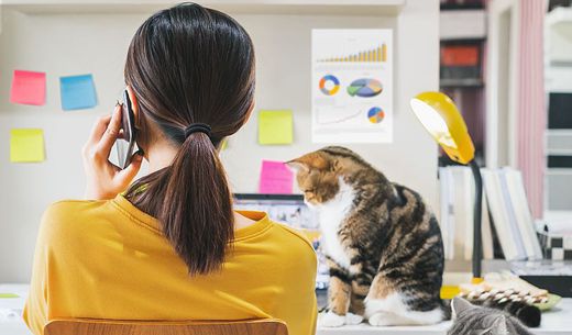 Woman working from home with two cats.
