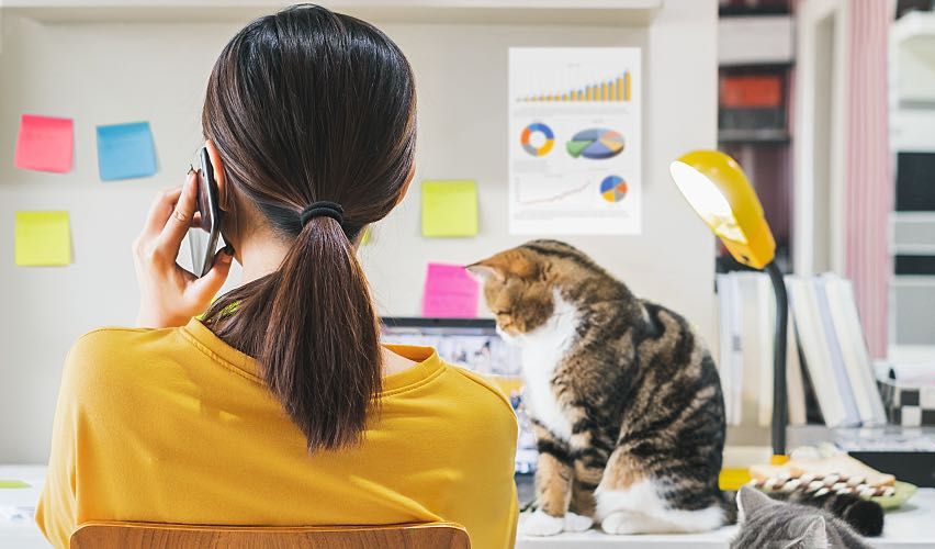 Woman working from home with two cats.
