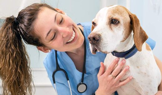 A happy, young female vet tech holds a dog.