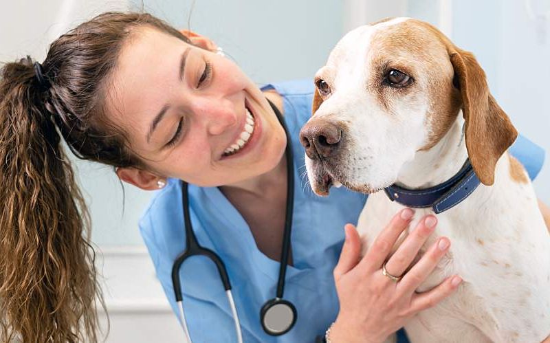 A happy, young female vet tech holds a dog.