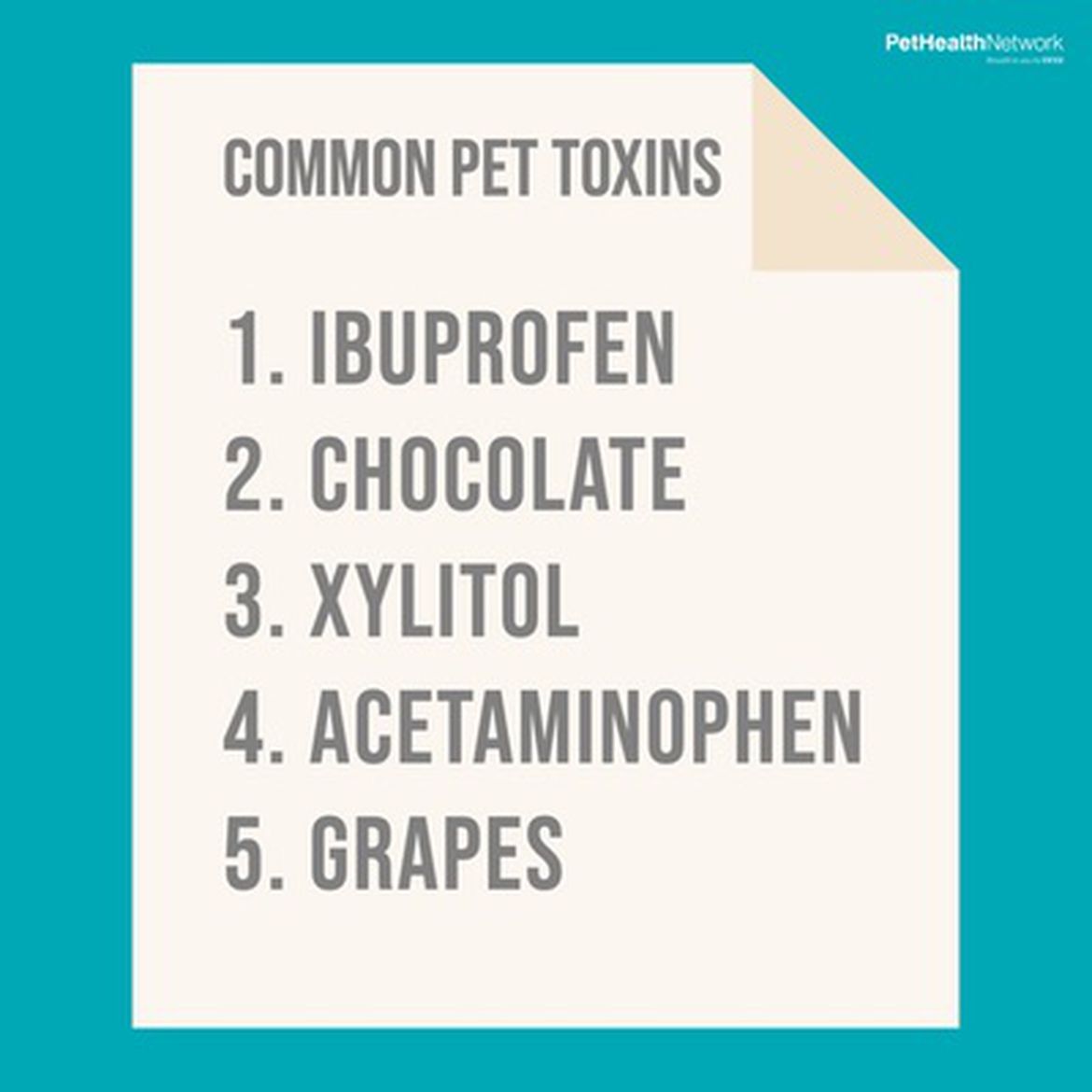 Social media post about common pet poisons.