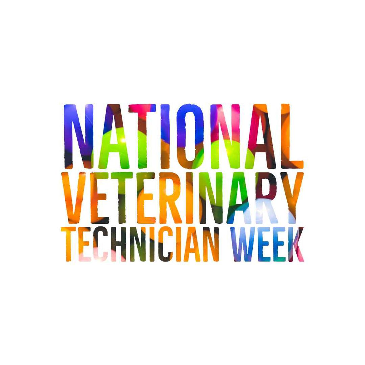 Social media post promotion National Veterinary Technician Week 2019