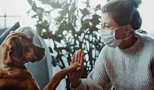 Veterinary professional wearing a mask with a dog.