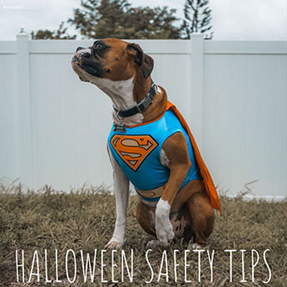 Social media post for Halloween safety tips
