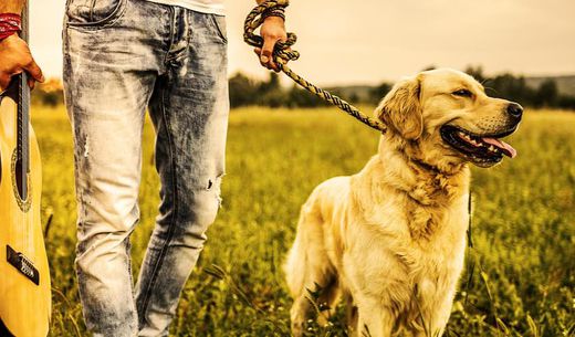 Man holding a guitar and walking a dog.