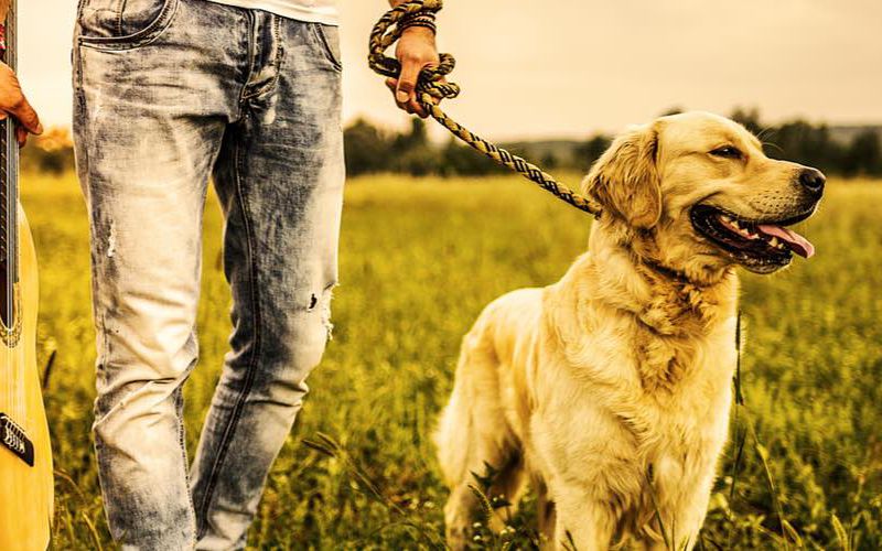 Man holding a guitar and walking a dog.