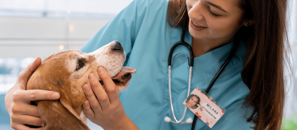 Veterinary technician with dog
