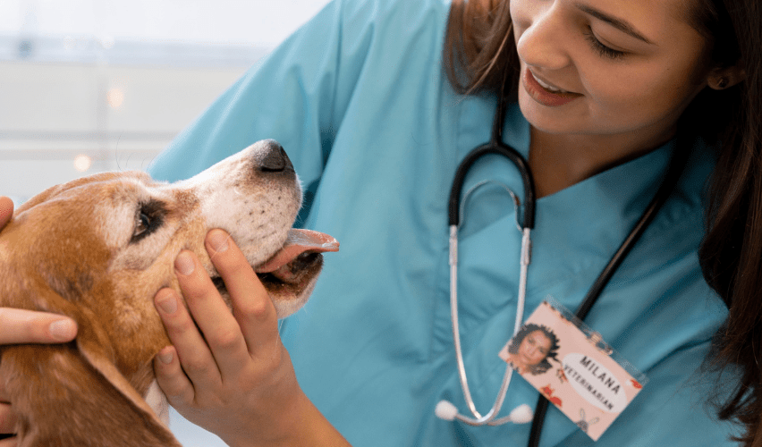 Veterinary technician with dog